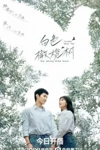 Белое оливковое дерево (2025)