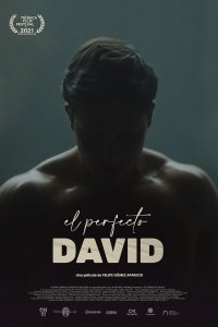 Идеальный Давид (2021)